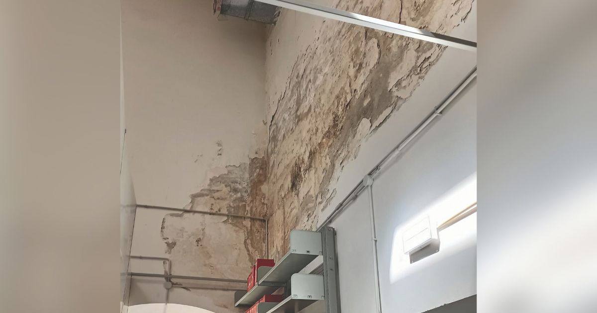 https://www.quotidianodelsud.it/wp-content/uploads/2026/09/biblioteca-stigliani-matera-muffa.jpg