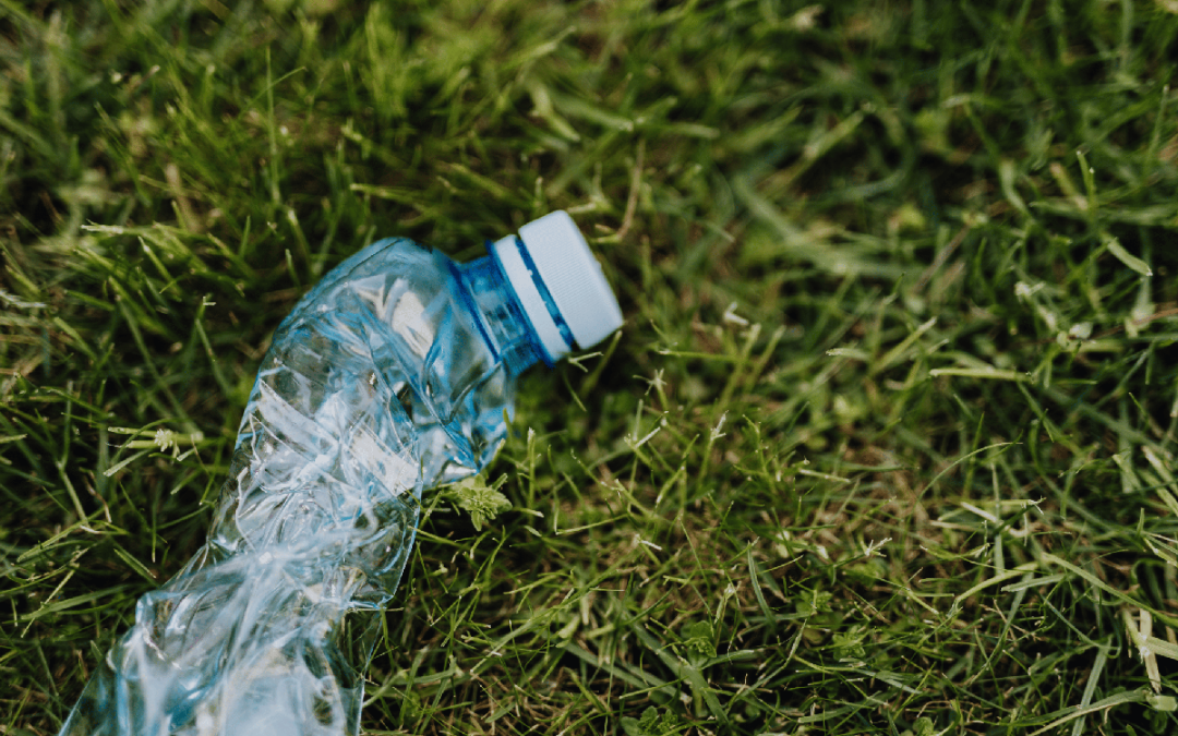 Comprano un terreno e costruiscono una casa… fatta di plastica