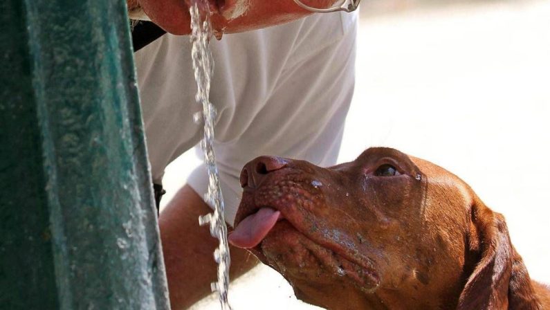 Caldo in Italia, oggi ancora 4 città da bollino rosso: quali sono i capoluoghi più roventi