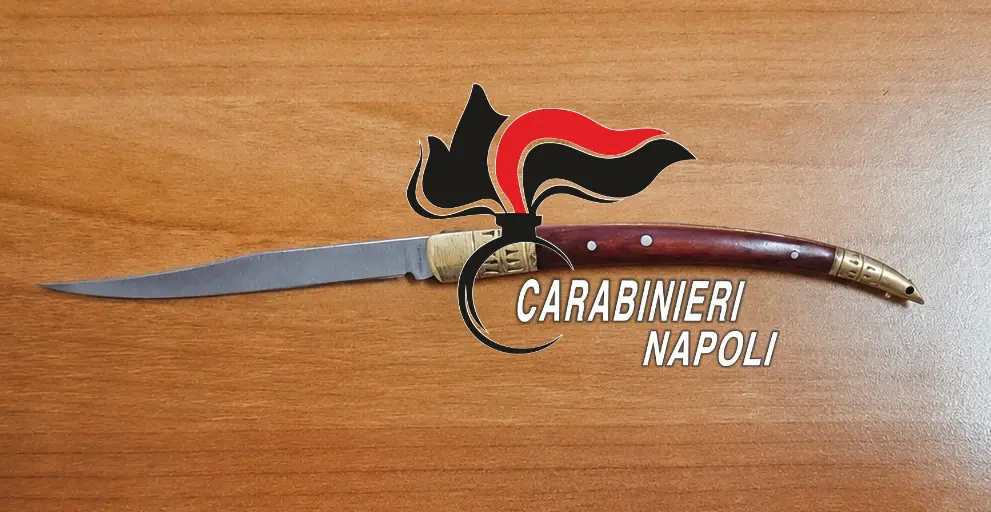https://www.quotidianodelsud.it/wp-content/uploads/2026/09/carabinieri-napoli.jpeg