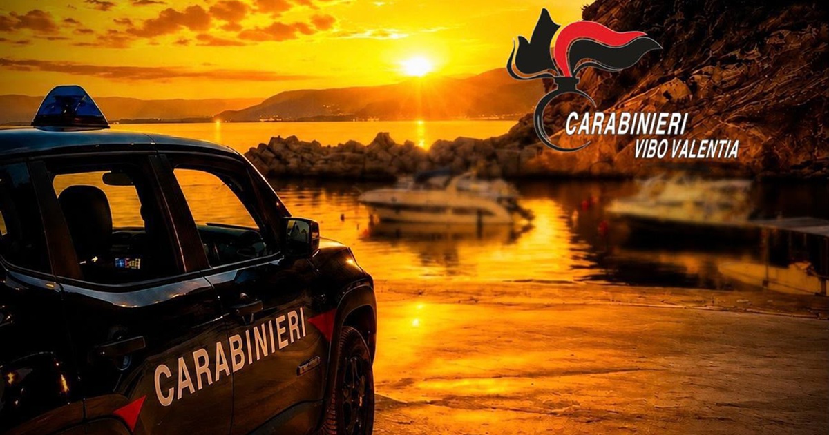 https://www.quotidianodelsud.it/wp-content/uploads/2026/09/carabinieri-vibo.jpeg