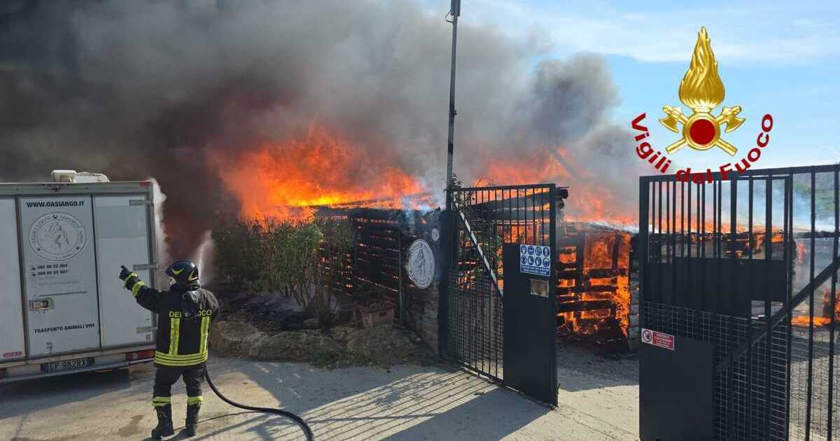 https://www.quotidianodelsud.it/wp-content/uploads/2026/09/ciro-marina-raid-incendiario-rifugio-oasi-argo.jpg