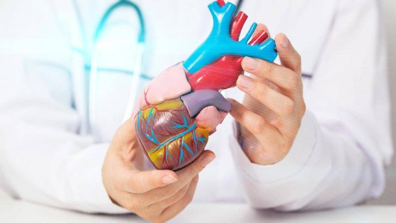 Cardiomiopatia ipertrofica ostruttiva: “Terapia innovativa efficace e sicura a 5 anni”
