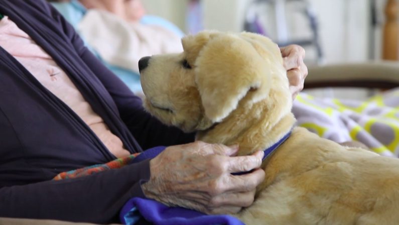 In Italia 1,2 milioni di persone con demenza, oltre la metà affette da Alzheimer