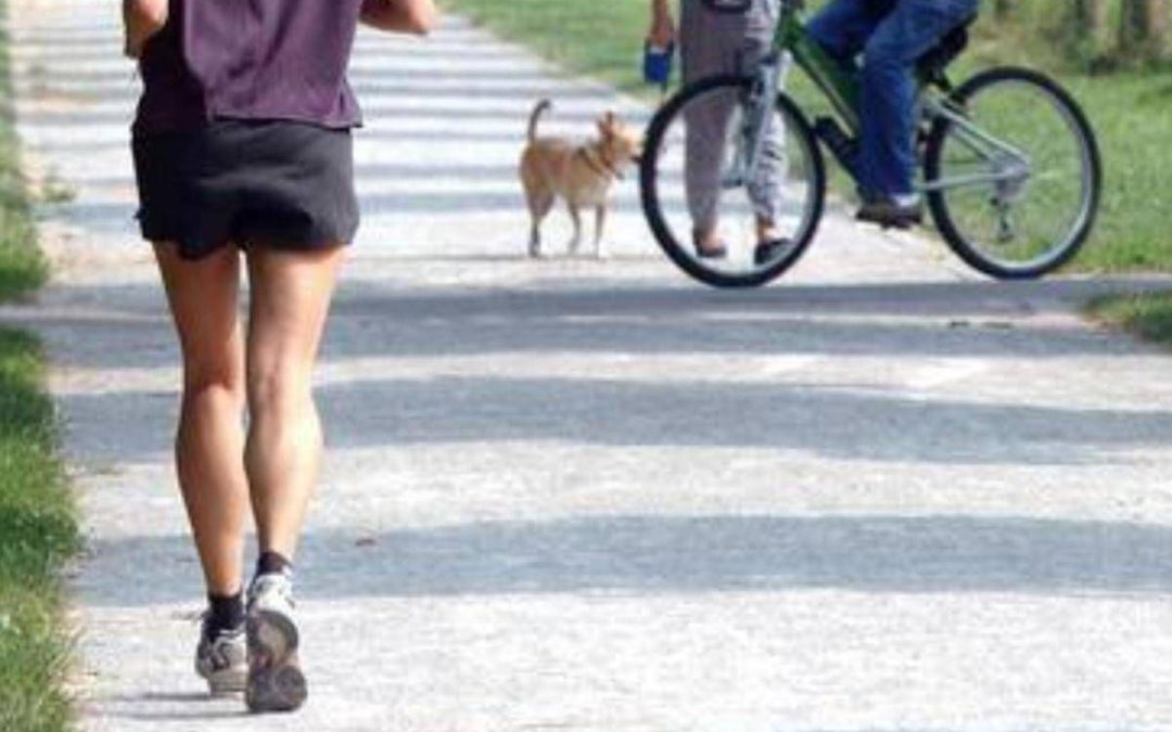 Correre pianissimo fa bene al cervello, lo studio a sorpresa