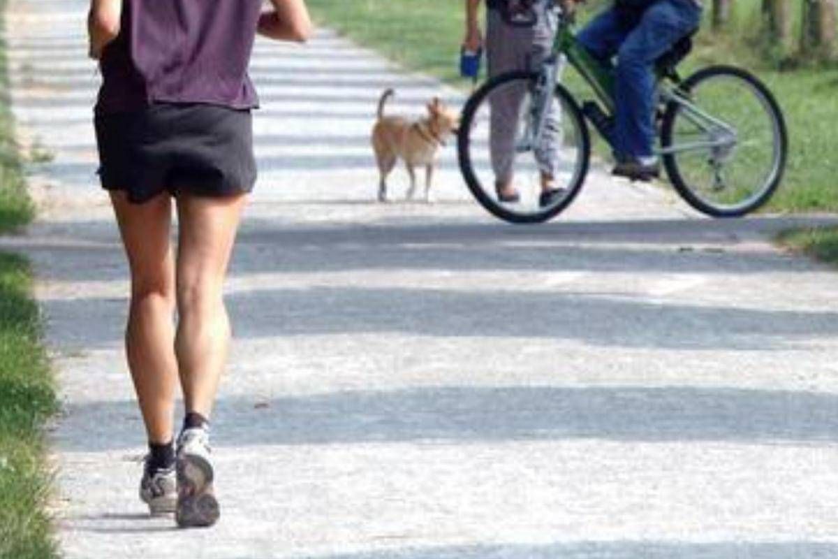 https://www.quotidianodelsud.it/wp-content/uploads/2026/09/donna-jogging-parco-ipa-fg.jpeg
