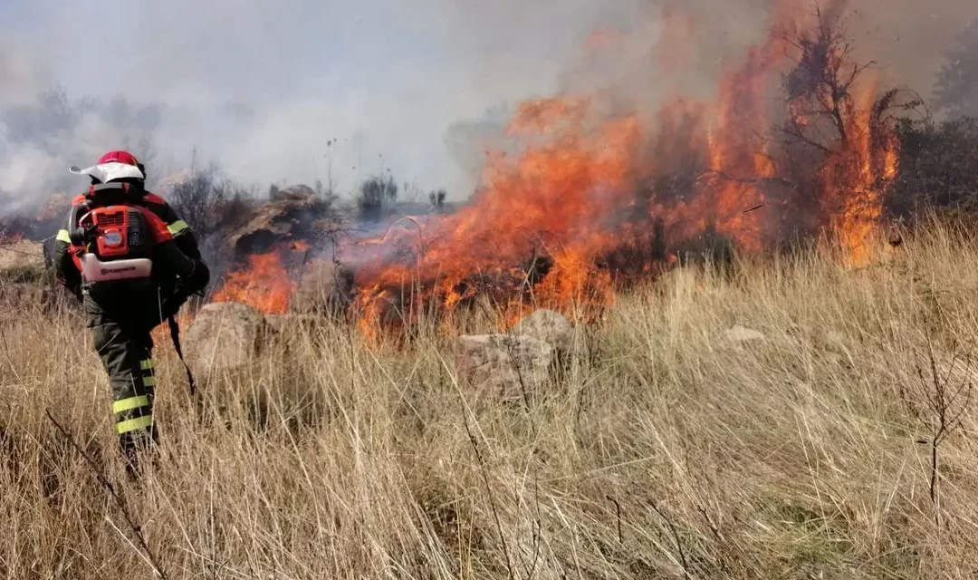 Incendi, in Campania -21% di roghi. Zabatta: “Rispetto al 2025 bilancio positivo”