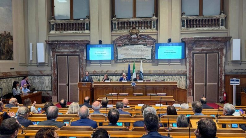 Itinerari previdenziali: “Nel 2024 spesi 325 miliardi di imposte dirette per sanità, assistenza sociale e enti locali”