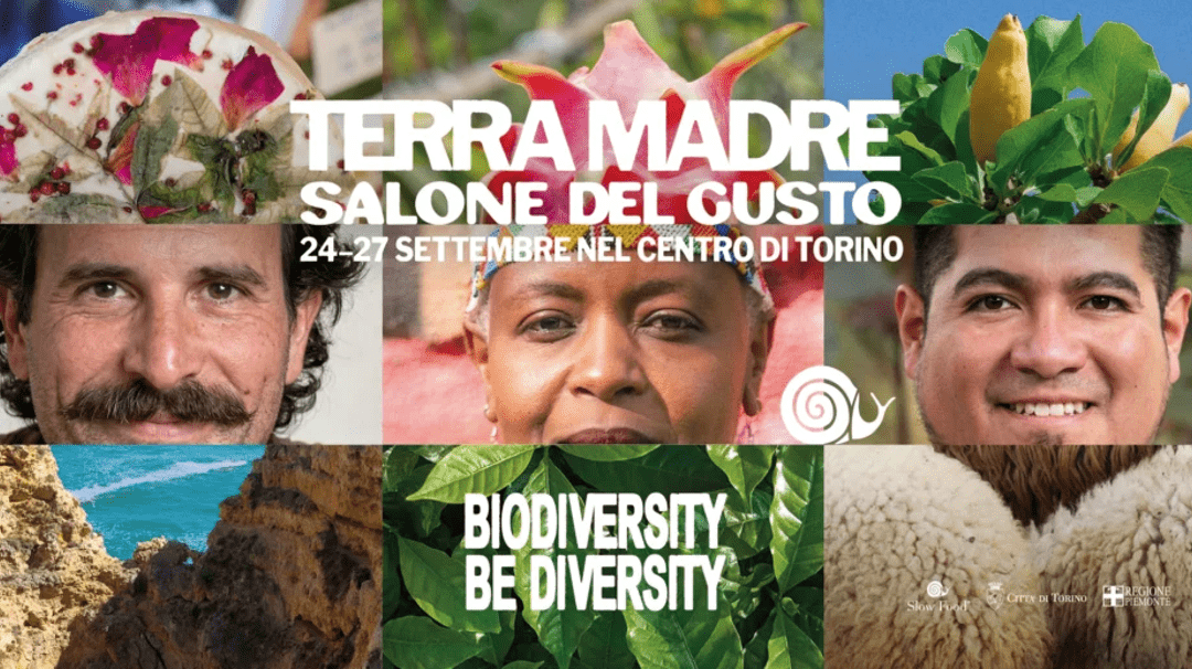 Ismea a Terra Madre 2026, olio di oliva e Indicazioni geografiche al centro del programma