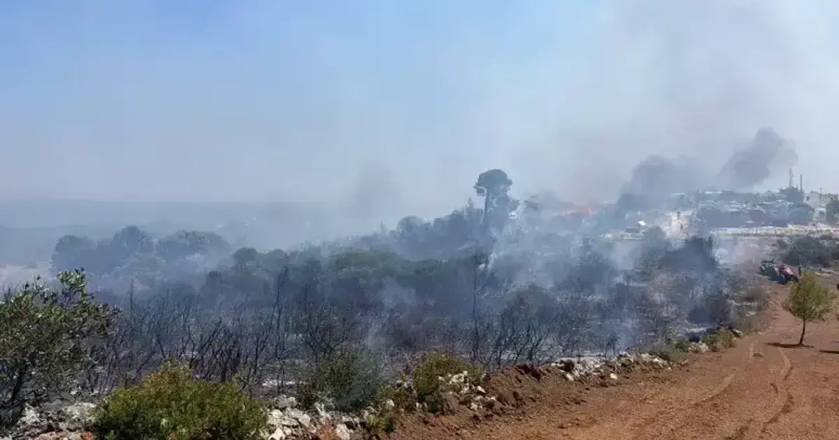 https://www.quotidianodelsud.it/wp-content/uploads/2026/09/incendi-sul-gargano.jpg