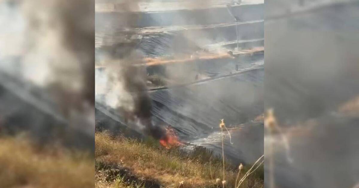 https://www.quotidianodelsud.it/wp-content/uploads/2026/09/incendio-discarica-di-casignana.jpg