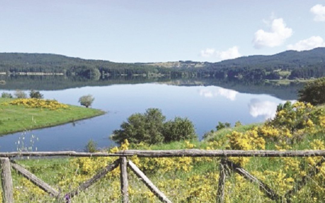 Il lago Cecita