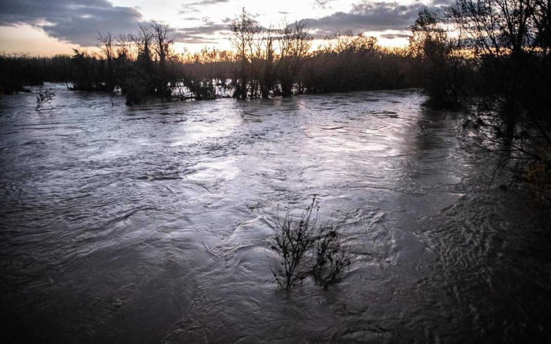 Violenta ondata di maltempo in Toscana: allagamenti, alberi caduti e decine di interventi dei vigili del fuoco