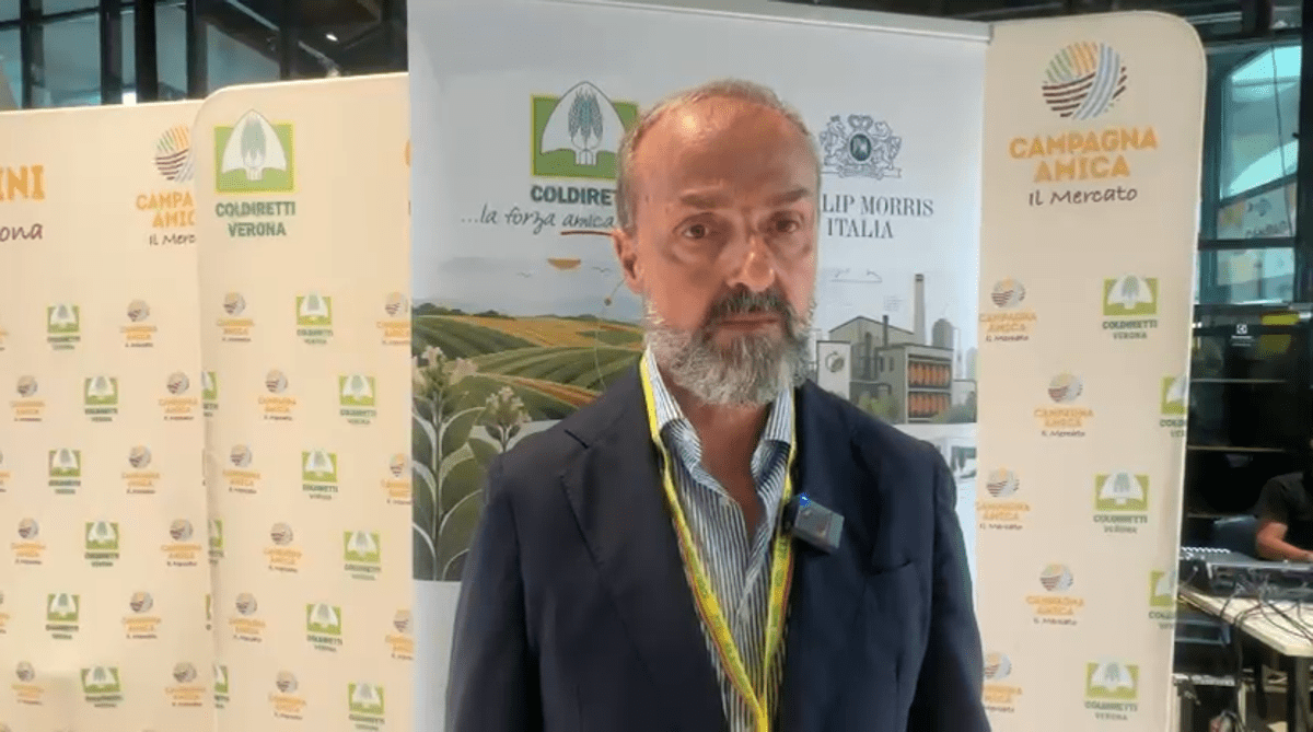 https://www.quotidianodelsud.it/wp-content/uploads/2026/09/masiello-adn.png