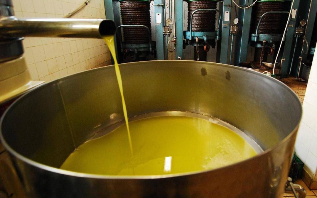 Unifol: “Per movimenti dell’olio sfuso﻿ sì alla bolla elettronica “
