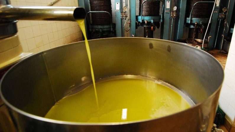 Unifol: “Per movimenti dell’olio sfuso﻿ sì alla bolla elettronica “