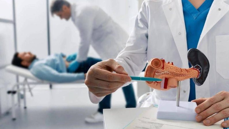 Tumore pancreas, team Aoui Verona e San Raffaele Milano vincono bando Fondazione Veronesi-Ficog