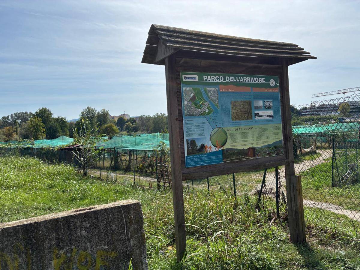 https://www.quotidianodelsud.it/wp-content/uploads/2026/09/parco-arrivore-adn.jpeg