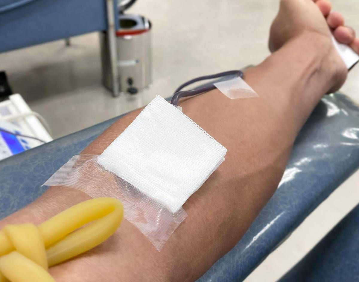 https://www.quotidianodelsud.it/wp-content/uploads/2026/09/persona-dona-sangue-123rf-free.jpeg