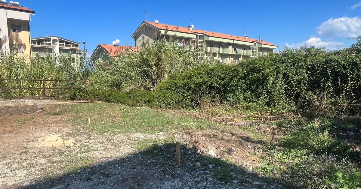 https://www.quotidianodelsud.it/wp-content/uploads/2026/09/pizzo-progetto-isola-ecologica.jpg