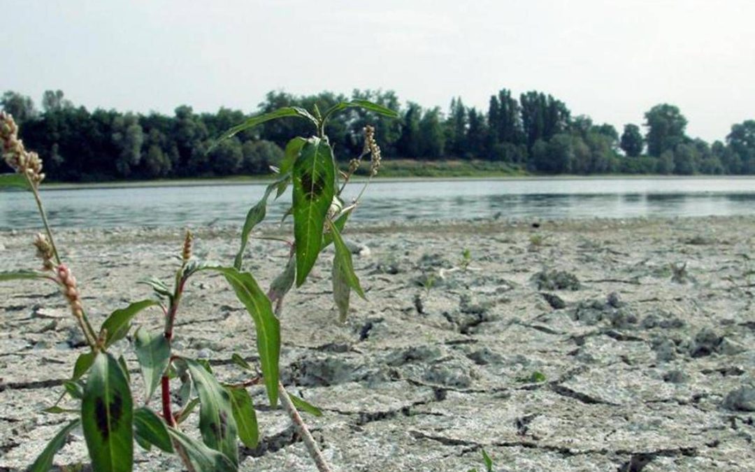 Agosto mese più caldo mai registrato, estate più rovente di sempre per l’Europa occidentale