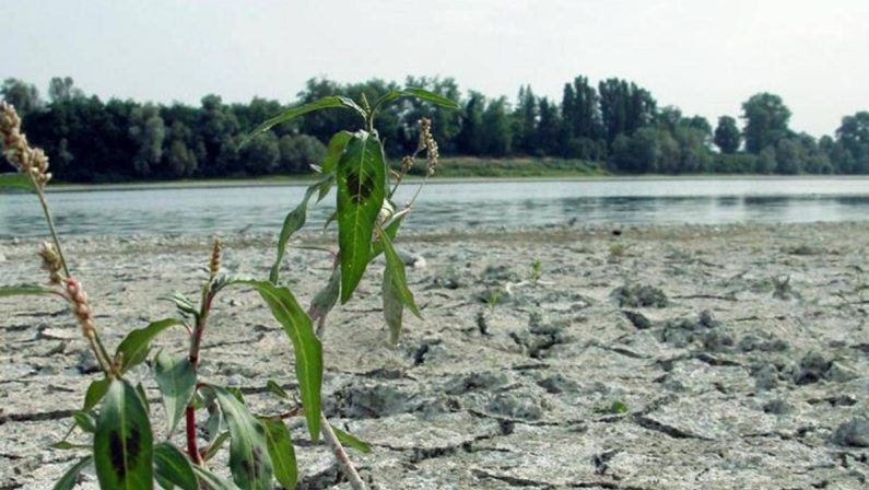 Agosto mese più caldo mai registrato, estate più rovente di sempre per l’Europa occidentale