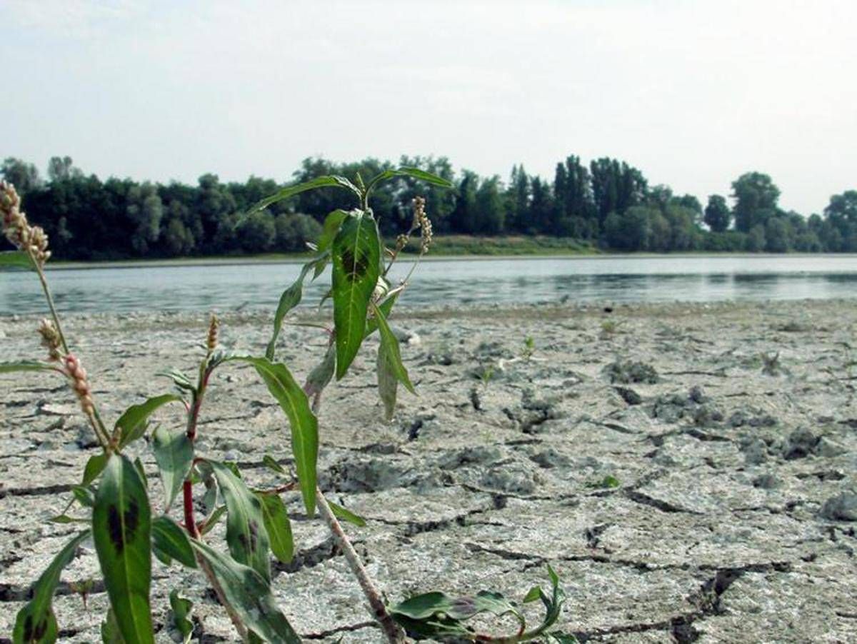 https://www.quotidianodelsud.it/wp-content/uploads/2026/09/po-fiume-in-secca-per-la-siccita-ftg.jpeg