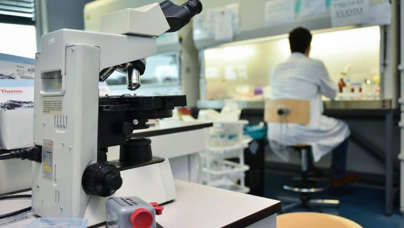 Ricerca, in Italia nel 2024 autorizzati 669 studi clinici: “Serve nuovo modello per ridefinire valore dati sanitari”