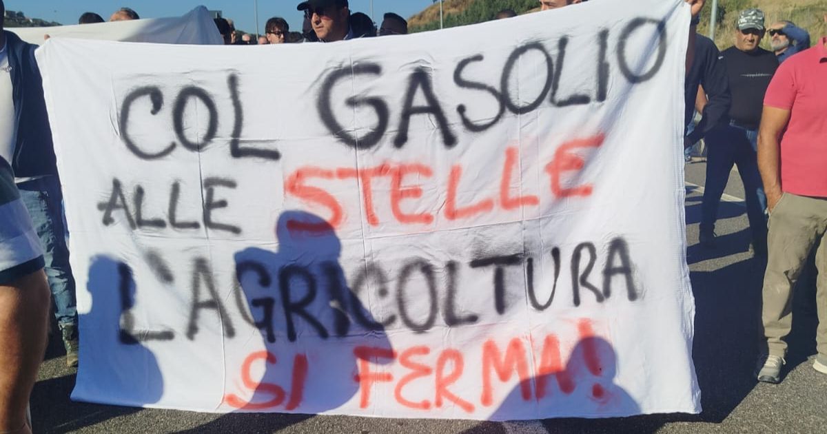 https://www.quotidianodelsud.it/wp-content/uploads/2026/09/protesta-agricoltori-calabria.jpg