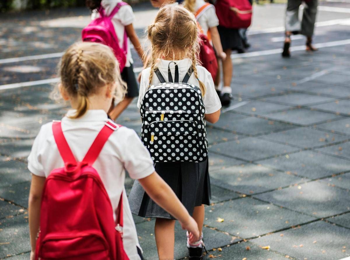 https://www.quotidianodelsud.it/wp-content/uploads/2026/09/scuola-bambini-123rf-free-2.jpeg