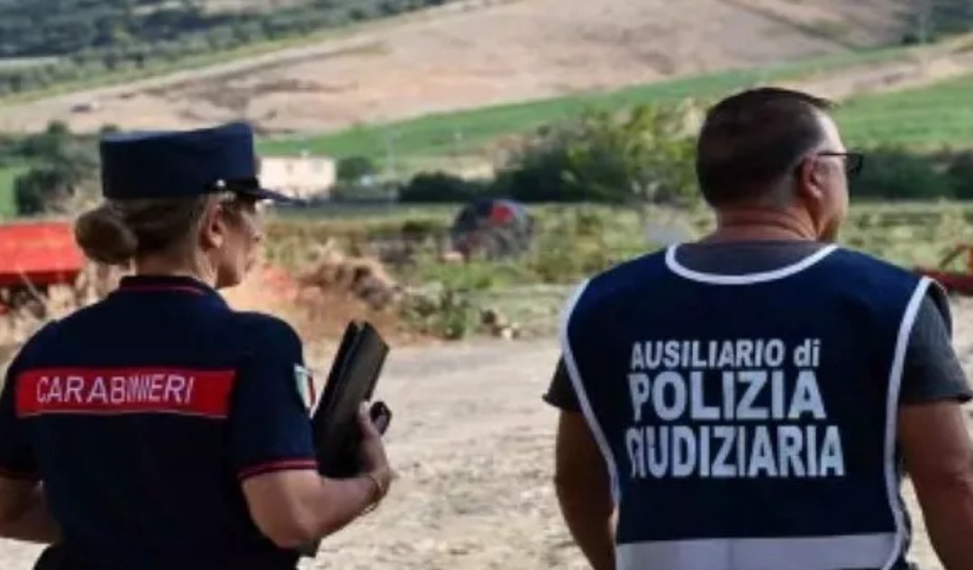 Sequestrato allevamento bufalino nel Salernitano: denunciato il titolare