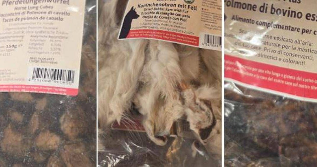 Orecchie di coniglio o polmone di cavallo? Lo snack ‘choc’ per i cani nel cuore di Cortina