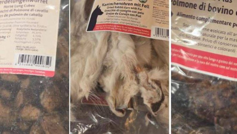 Orecchie di coniglio o polmone di cavallo? Lo snack ‘choc’ per i cani nel cuore di Cortina