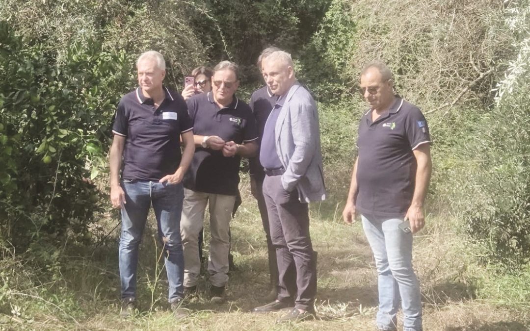 L’eradicazione nell’area di Olivetello a Taurianova