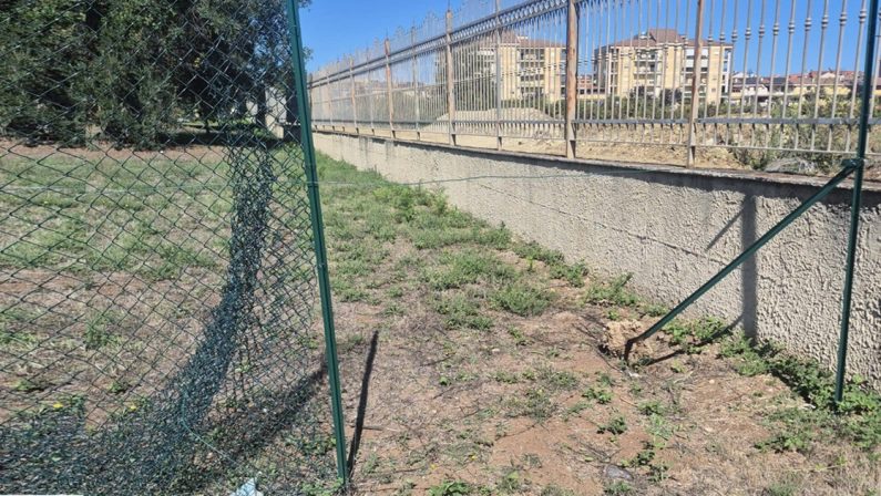 Parco urbano di Vibo, divelta dai vandali la recinzione dell’area per i cani