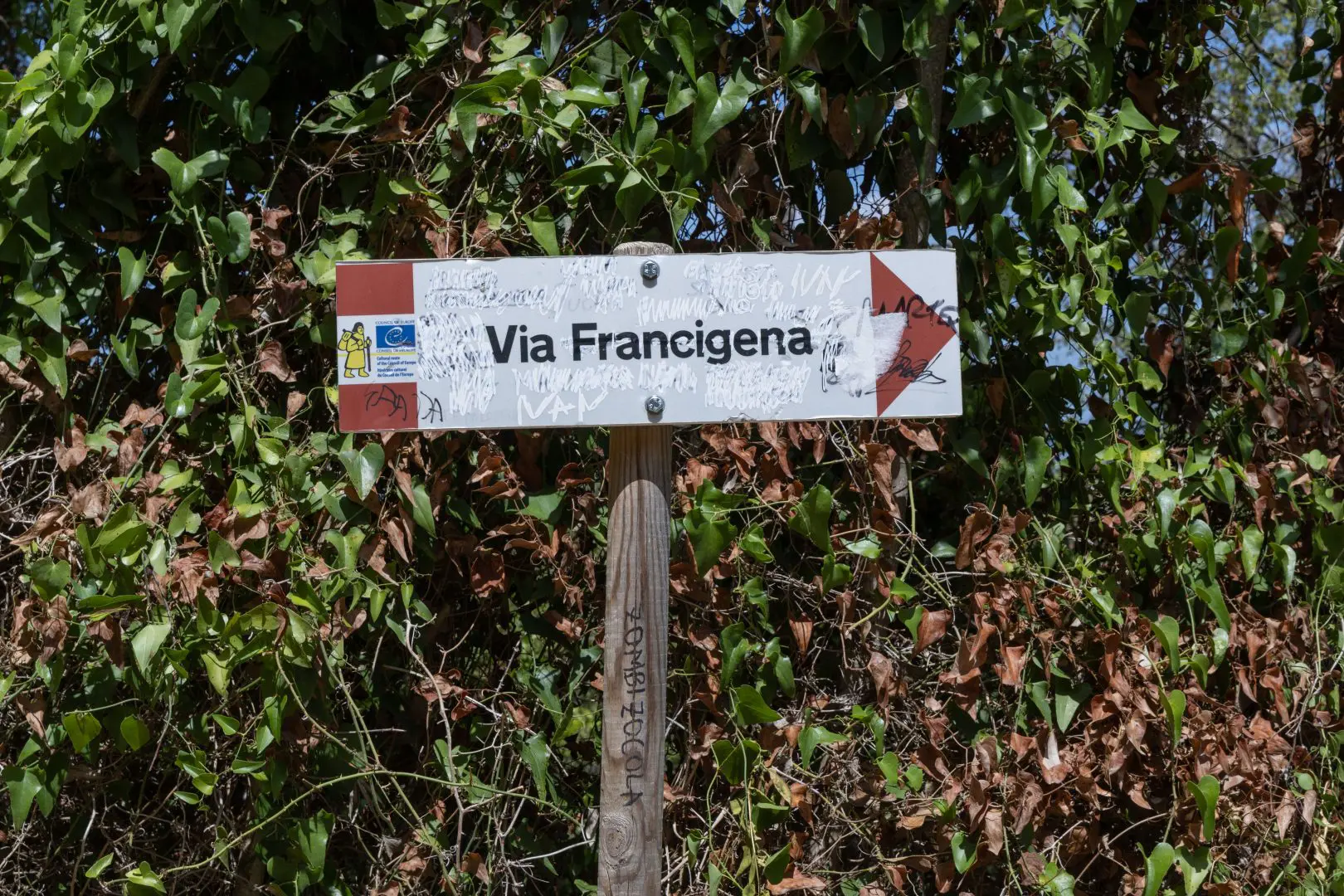 https://www.quotidianodelsud.it/wp-content/uploads/2026/09/via-francigena.jpg