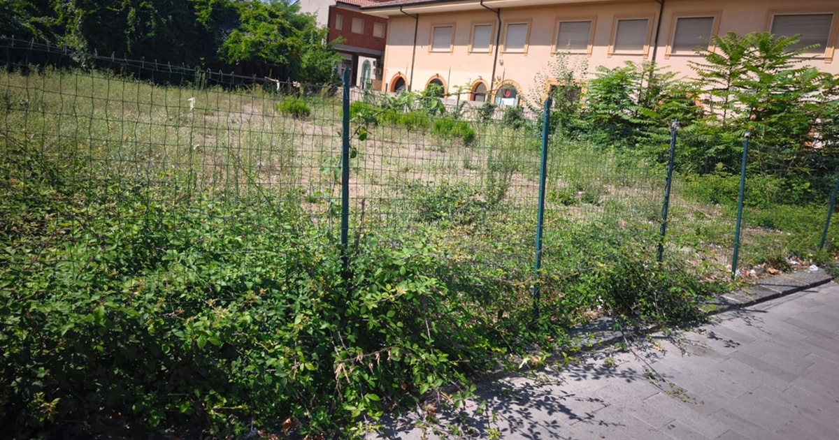 https://www.quotidianodelsud.it/wp-content/uploads/2026/09/vibo-piazza-della-vergogna.jpg