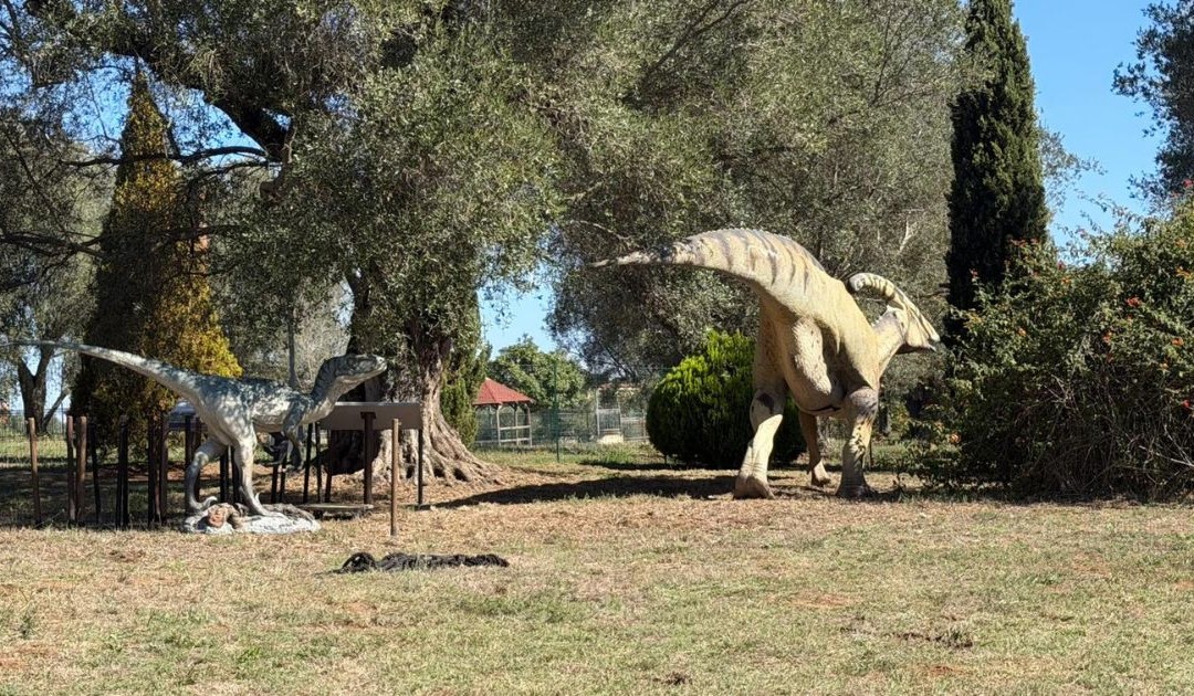 Il Parco Urbano di Vibo Valentia