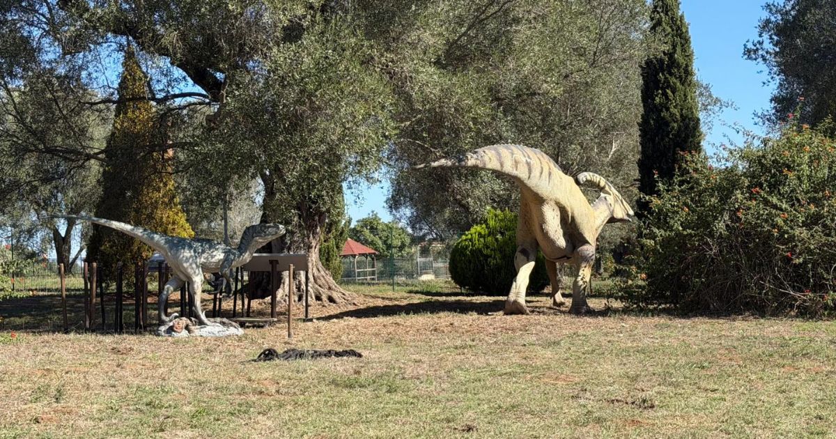 https://www.quotidianodelsud.it/wp-content/uploads/2026/09/vibo-valentia-parco-urbano.jpg