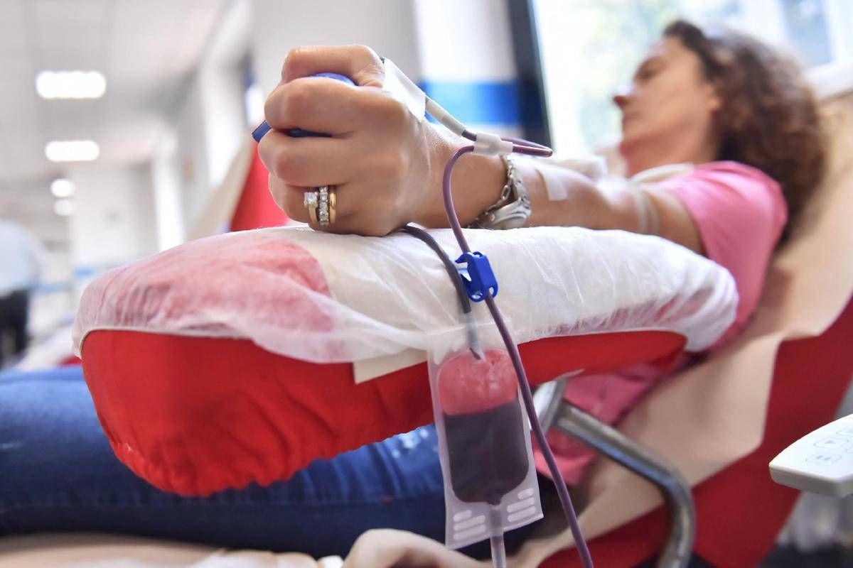 https://www.quotidianodelsud.it/wp-content/uploads/2026/09/world-blood-donor-day-giornata-mondiale-dei-donatori-di-sangue.jpeg
