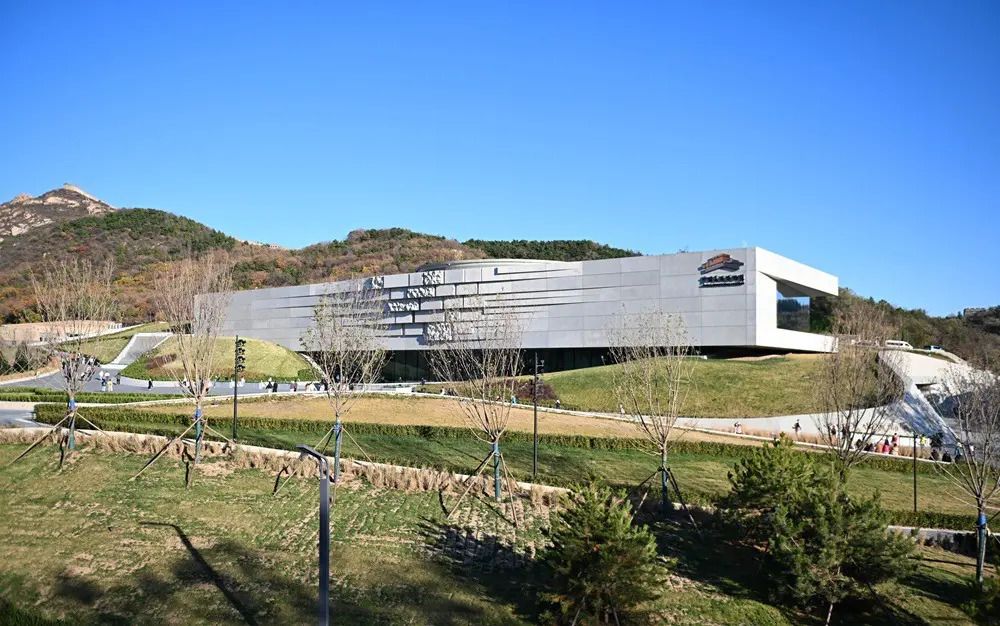 https://www.quotidianodelsud.it/wp-content/uploads/2026/10/20261026-2388.jpg