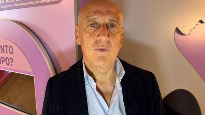 Farmaci, Agostiniani (Sip): “Contro Rsv nuova opportunità per pediatri”