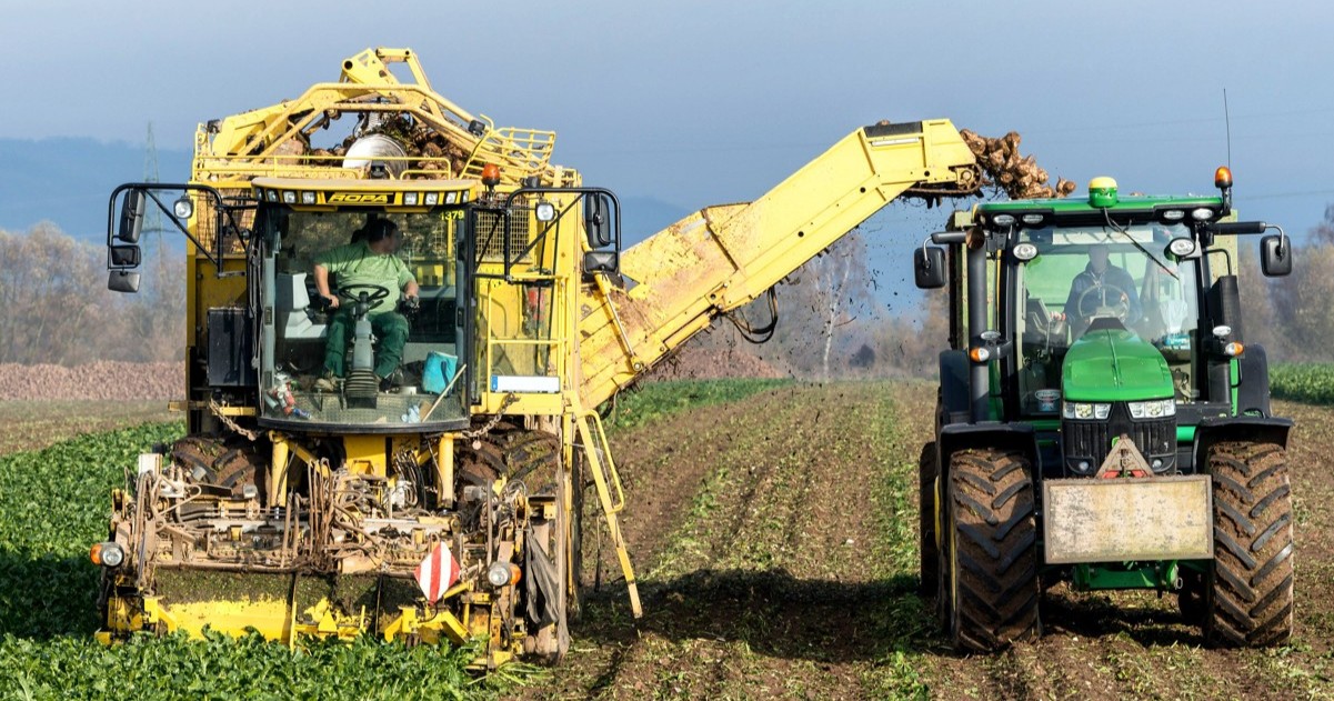 https://www.quotidianodelsud.it/wp-content/uploads/2026/10/agricoltura-1.jpg