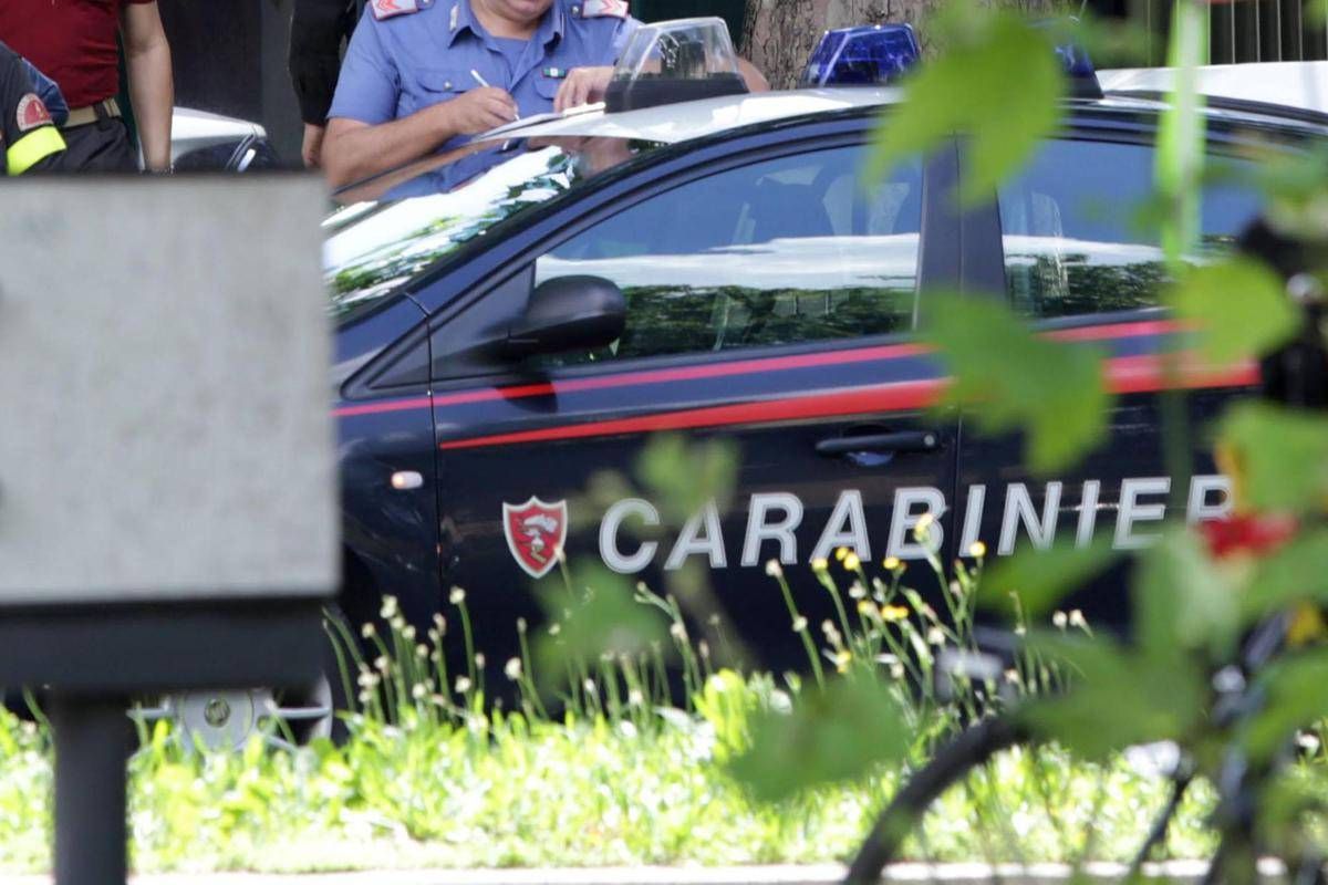 https://www.quotidianodelsud.it/wp-content/uploads/2026/10/albero-cade-su-auto-in-viale-zara.jpeg