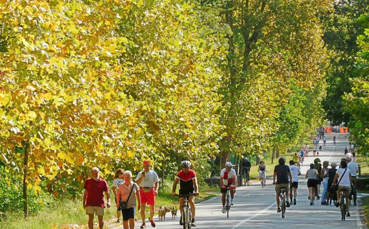 https://www.quotidianodelsud.it/wp-content/uploads/2026/10/autunno-anticipato-al-parco-di-monza.jpeg