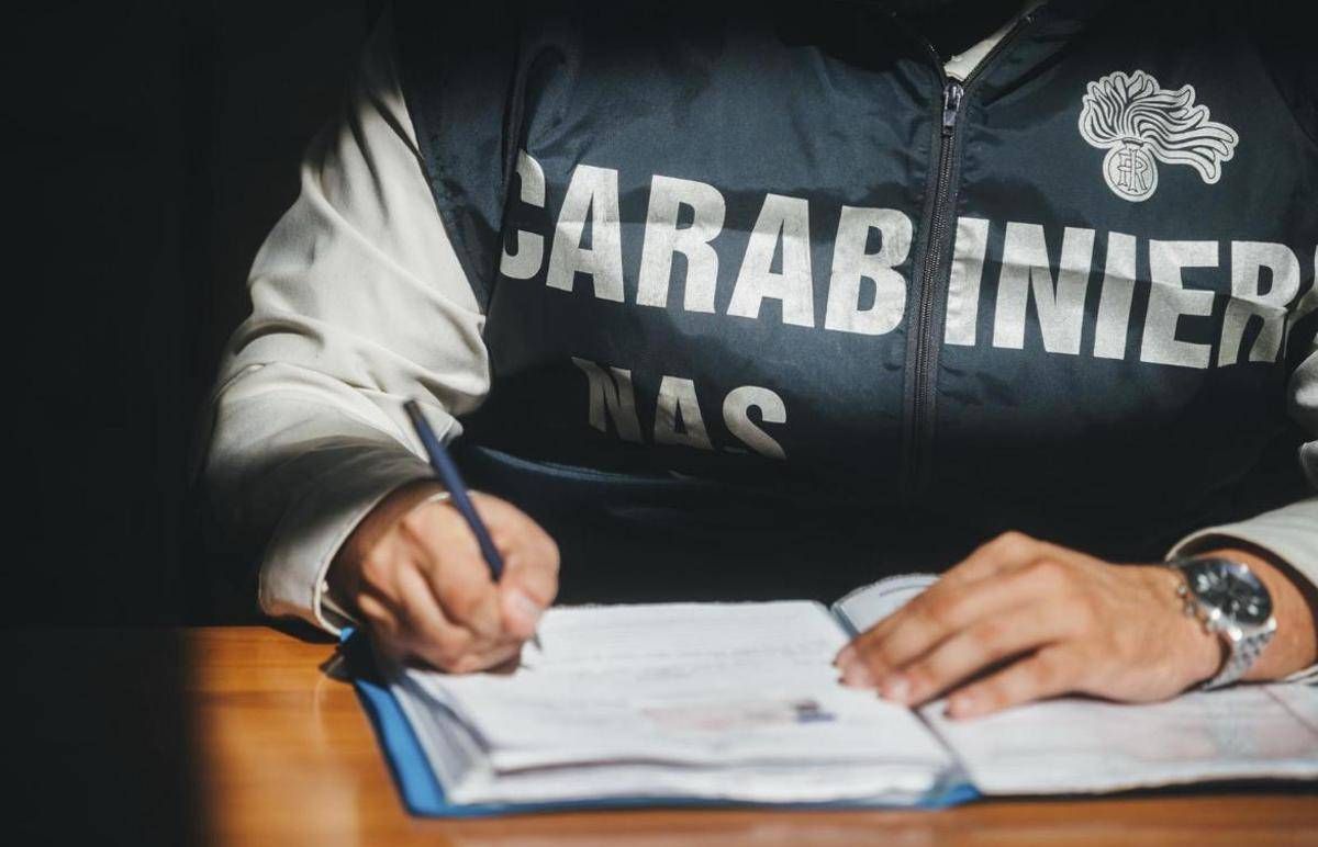 https://www.quotidianodelsud.it/wp-content/uploads/2026/10/carabinieri-nas-ufs.jpeg