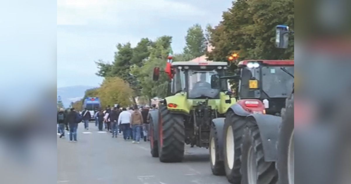 https://www.quotidianodelsud.it/wp-content/uploads/2026/10/caro-vita-basilicata-proteste.jpg