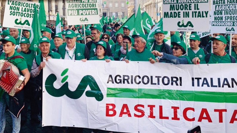 Agricoltura in Basilicata, accuse a Cicala: «Basta propaganda, ora i fatti»