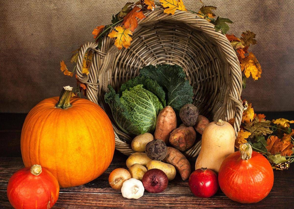 https://www.quotidianodelsud.it/wp-content/uploads/2026/10/cibo-autunno-123rf.jpeg