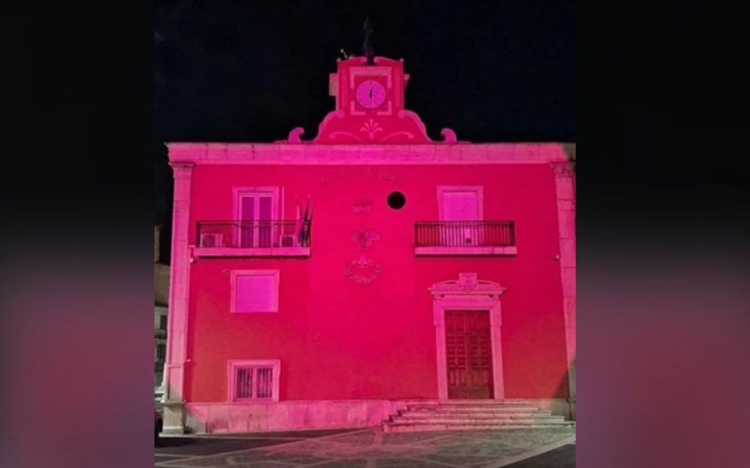 Il Municipio di Acquaro in rosa